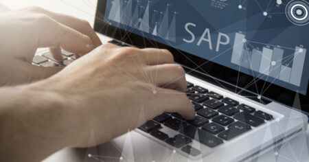 sap consultant