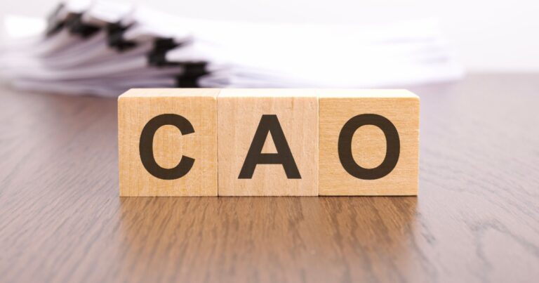 “CAO(Chief Administrative Officer/最高管理責任者・最高総務責任者)”の役割・導入企業・CFO/総務部長との違い・実際のキャリアパスについて
