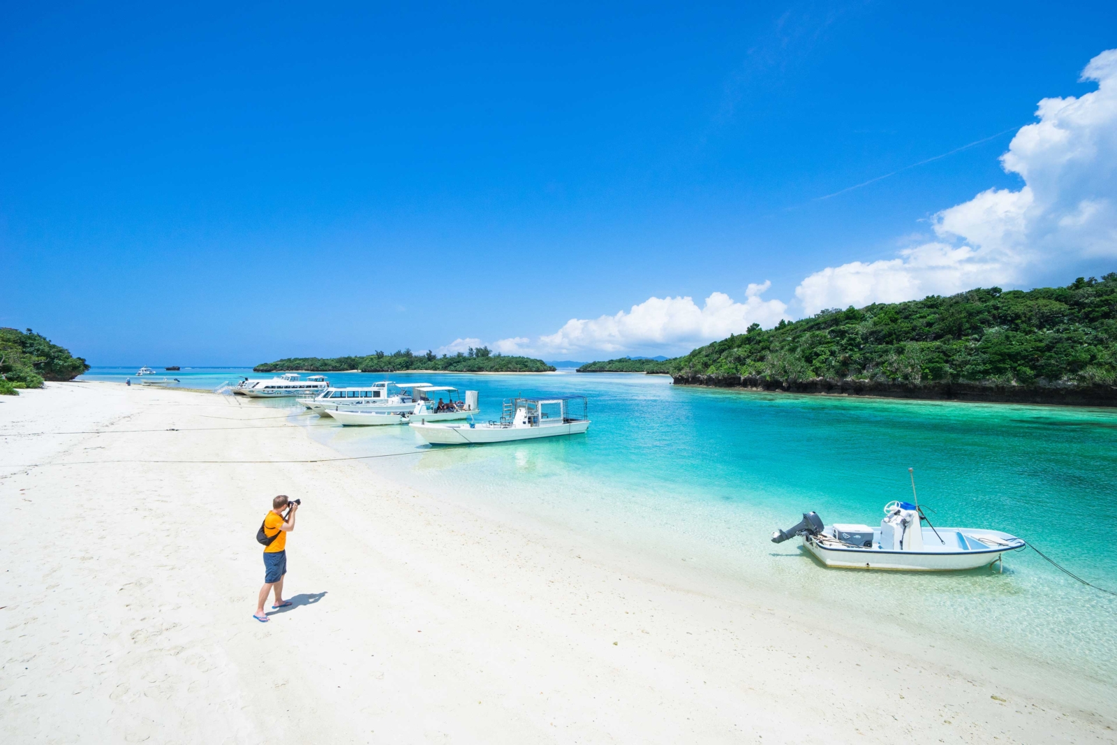 EY Japan、観光庁と全国約390地域の伴走支援結果をもとにした「地域一体となった観光地・観光産業の再生・高付加価値化事業 優良事例集」を発表