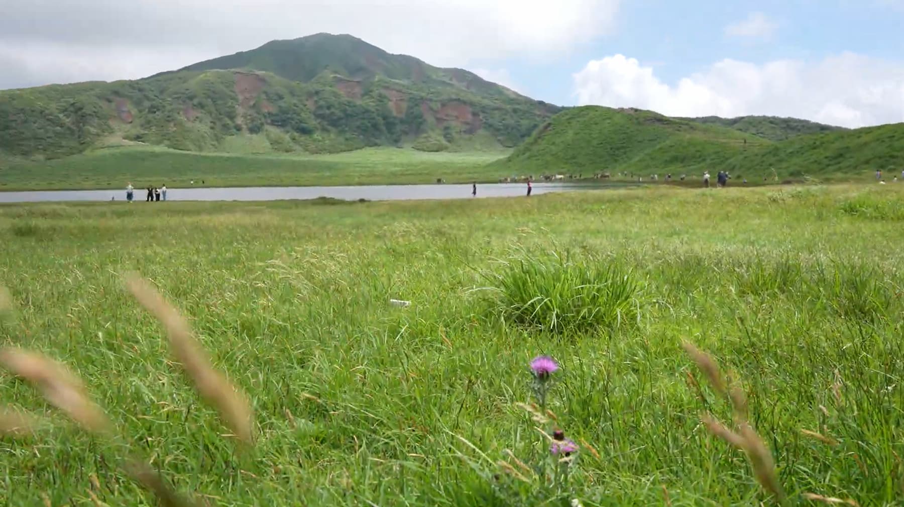 ※阿蘇山 草千里ヶ浜