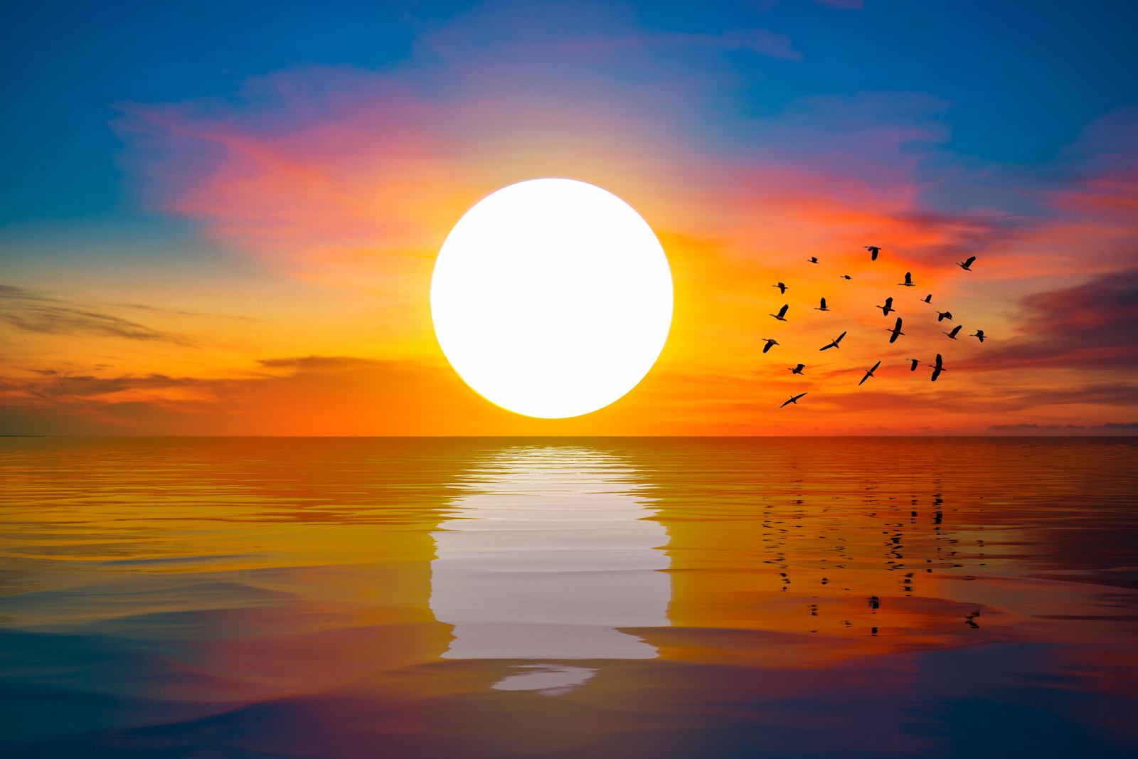 EY、2025年度の全世界の業務収入は532億米ドル