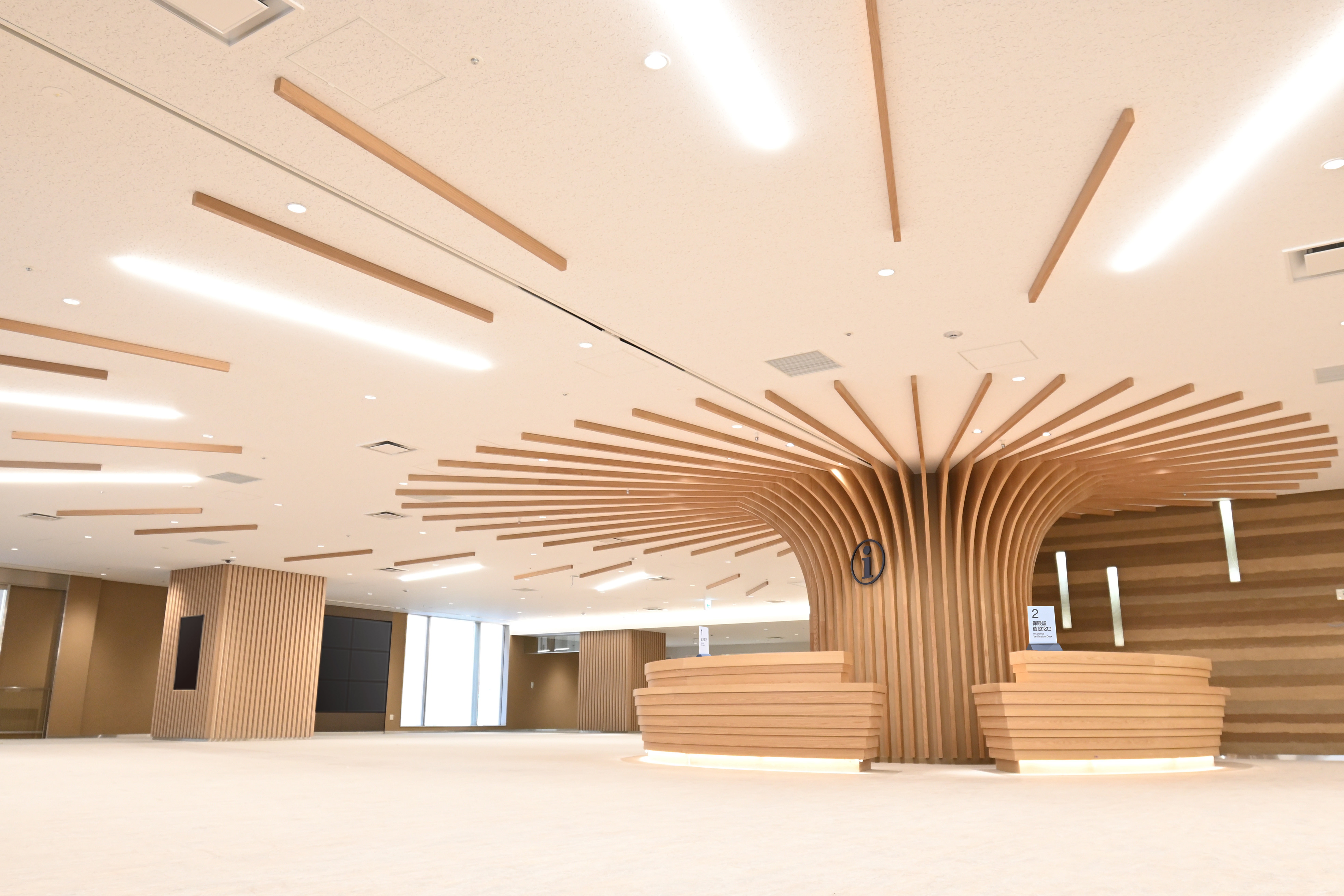 展示